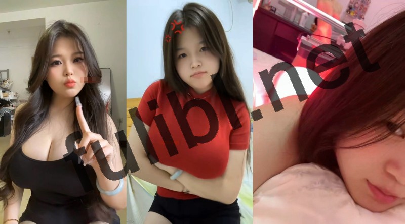 B站巨乳uper@菜菜大王 定制+充电尺度作合集[4P+46V/410M]